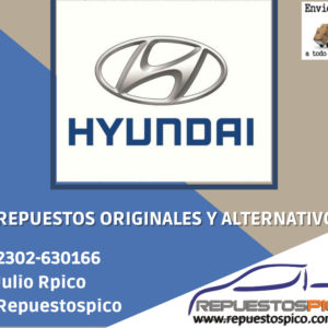 HYUNDAI - REPUESTOS Y AUTOPARTES